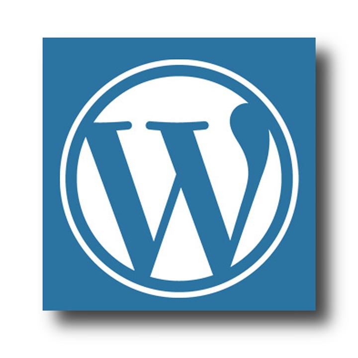 WordPress Site: Tips to Build a Successful Business Website 
